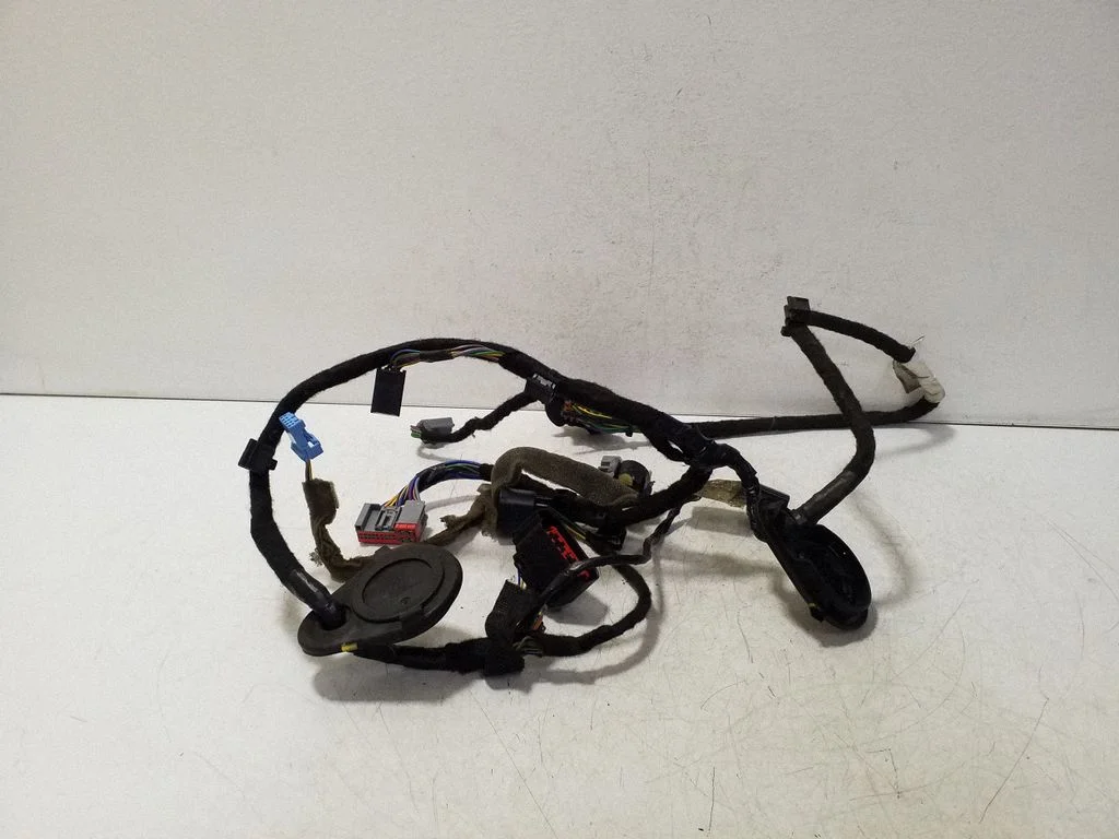 Aizmugurējo durvju vadu instalācija 31318717