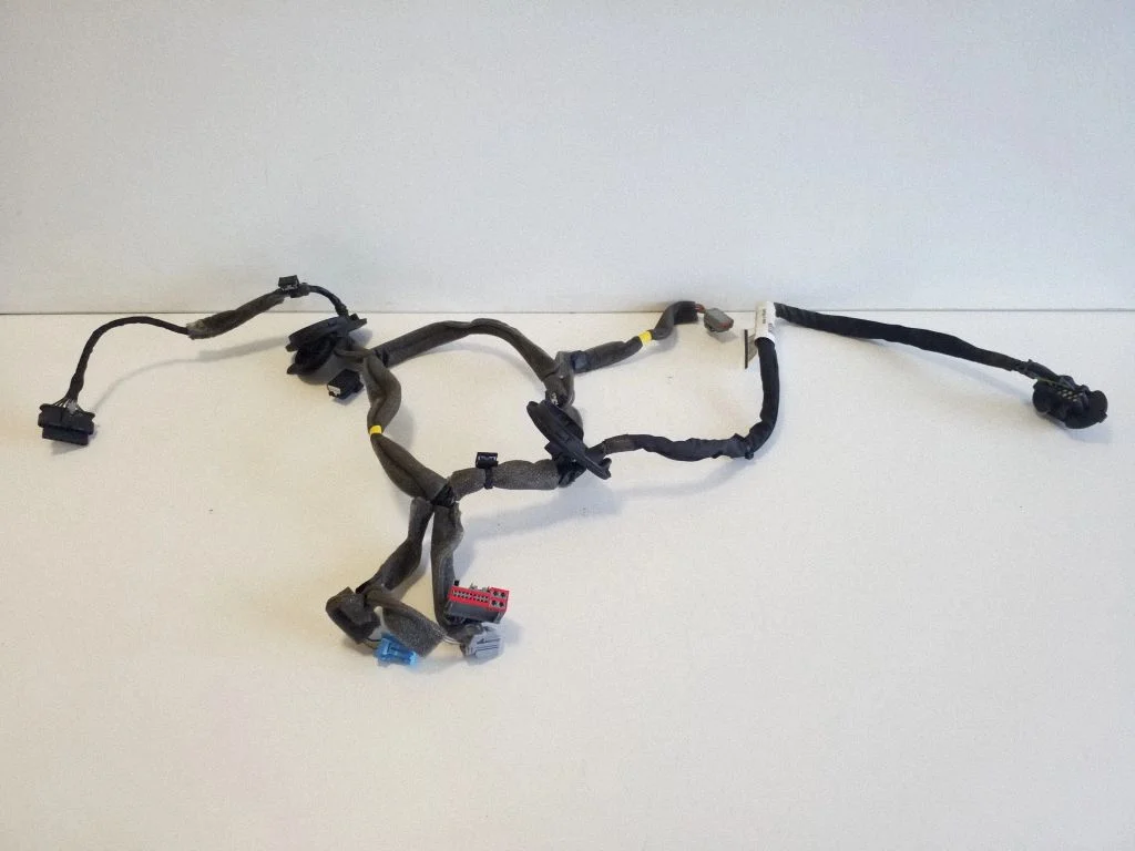 Rear door wiring loom 31313717