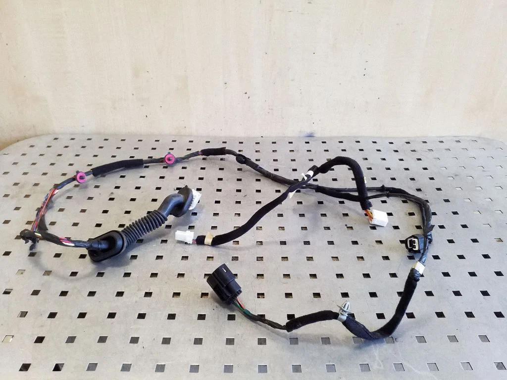 Wiązka drzwi tylnych 916501W050R