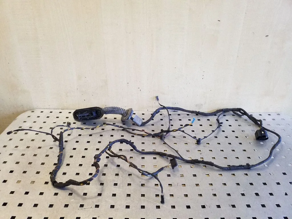 Rear door wiring loom 9210135