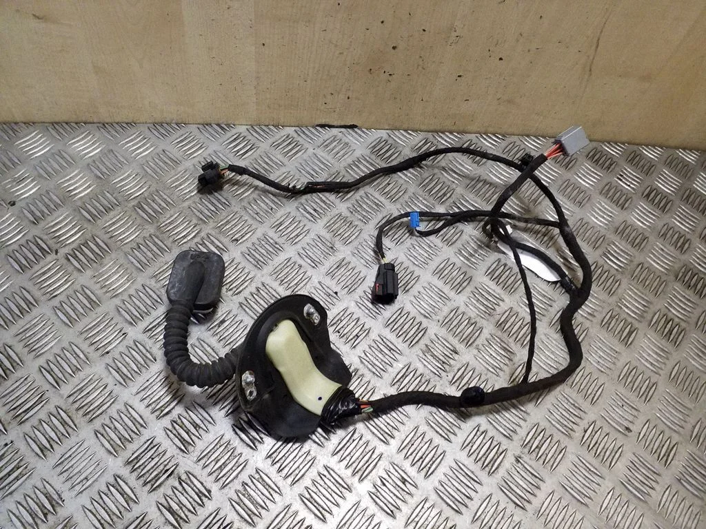 Tagaukse juhtmestik 68054431AG