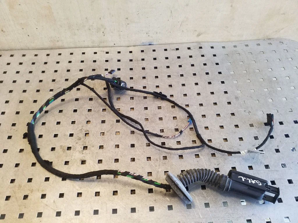 Rear door wiring loom 9260010