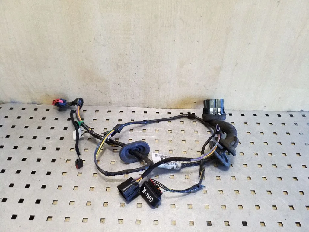 Aizmugurējo durvju vadu instalācija BV6T14240