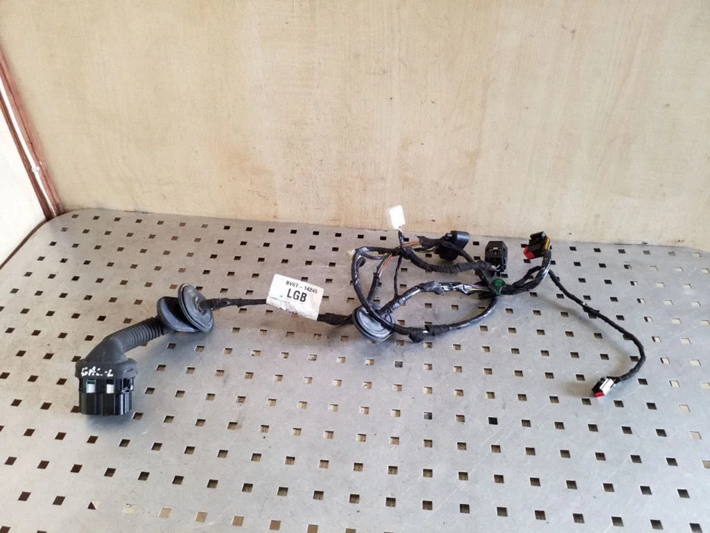 Aizmugurējo durvju vadu instalācija BV6T14240