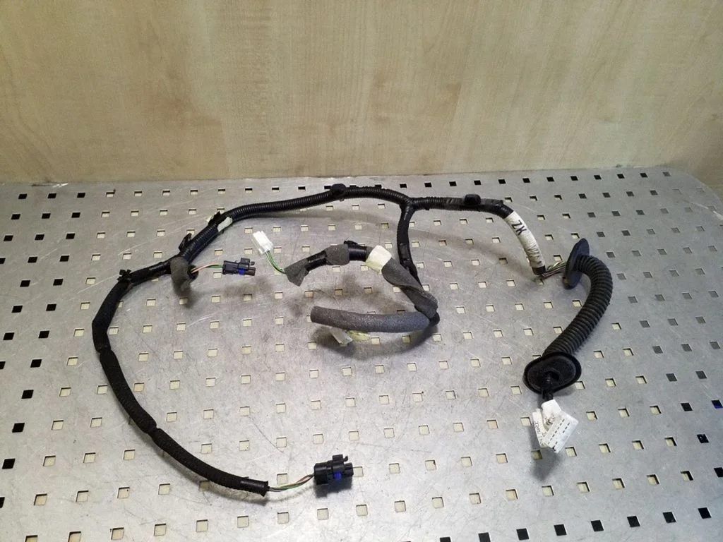 Rear door wiring loom 241269619R