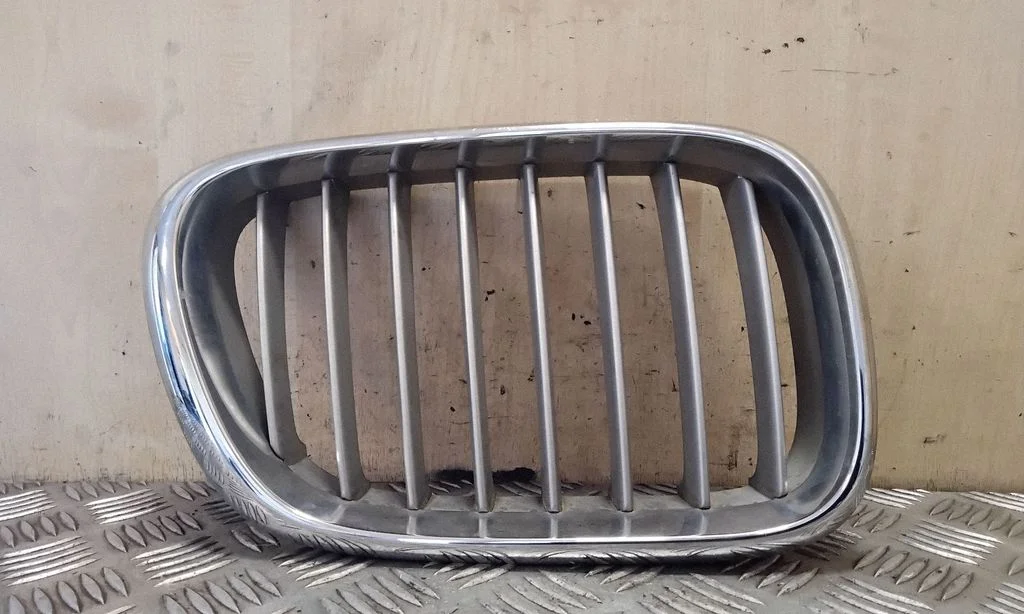 Front grill 51138247674