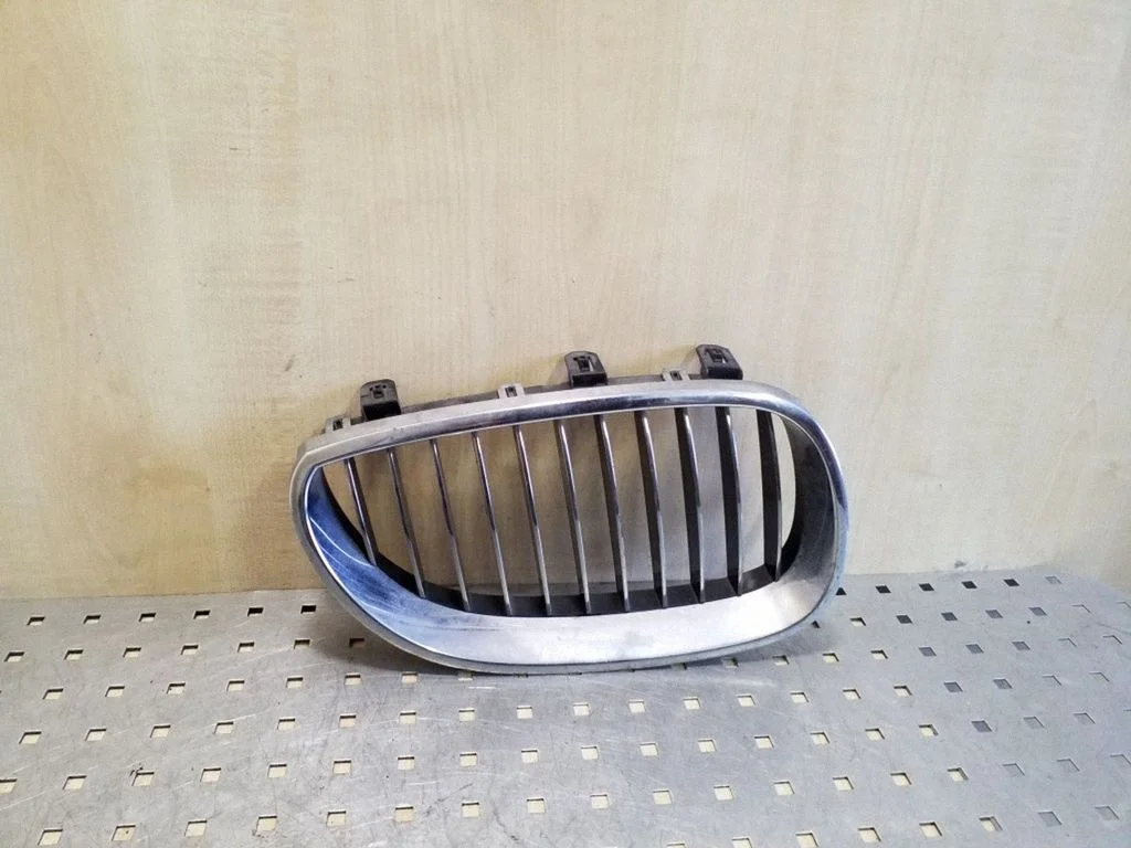 Front grill 51137027066