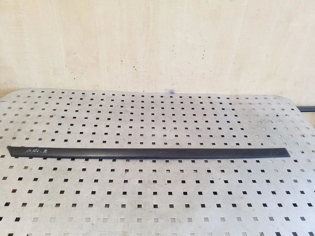 Rear door trim (molding) – right