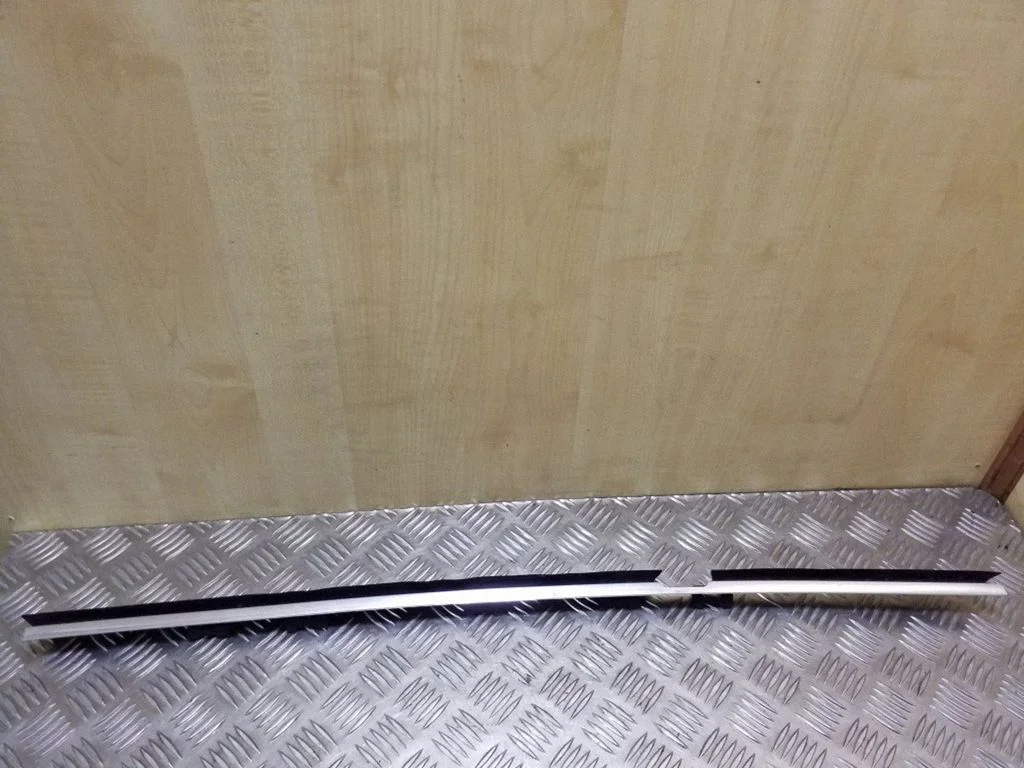 Rear door trim (molding) 51228185818
