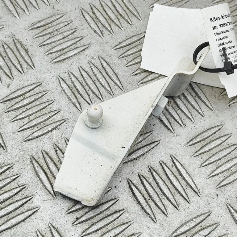 Kita kėbulo dalis