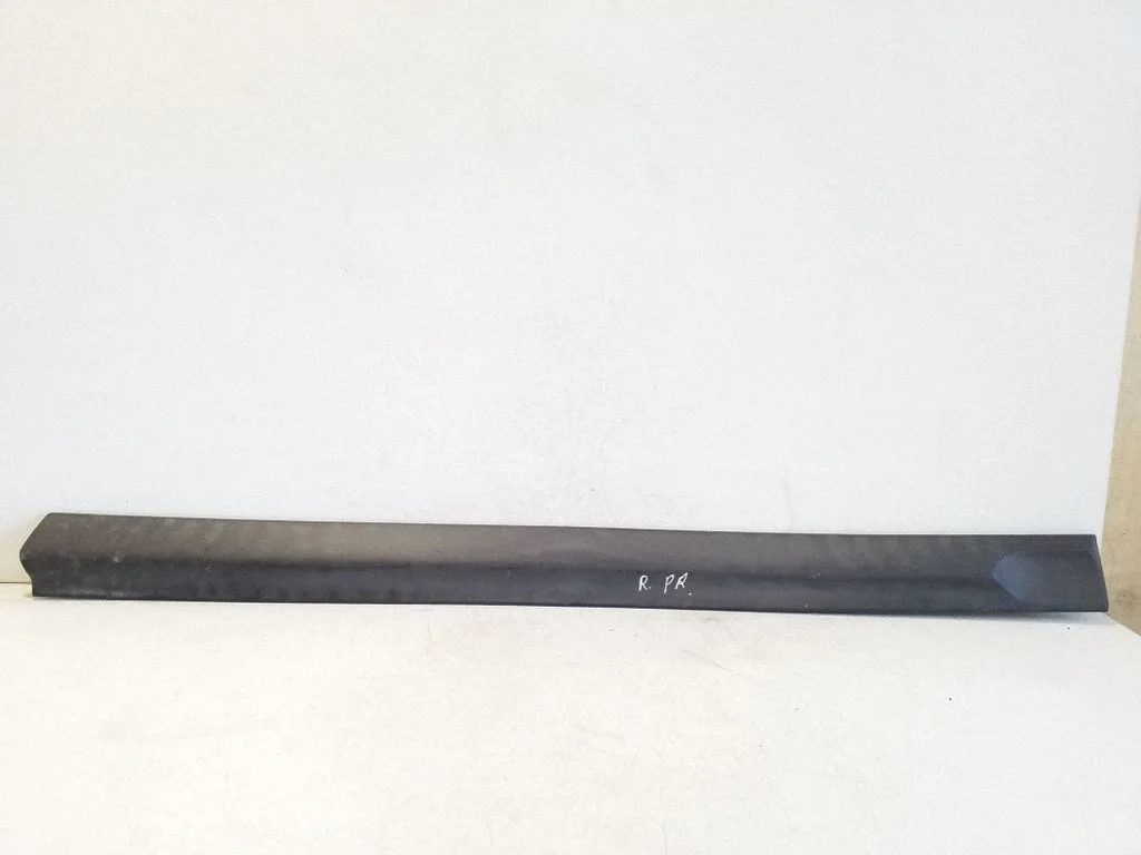 Front door trim (molding) 090597588RH