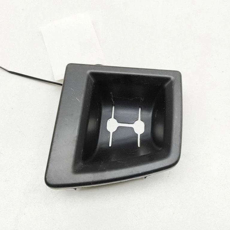 Kita kėbulo dalis