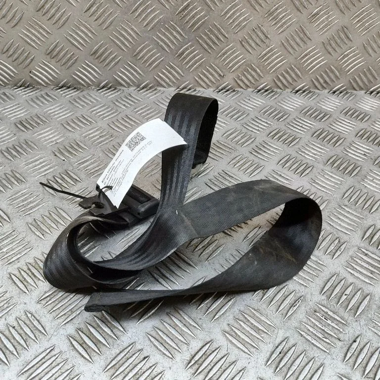 Kita kėbulo dalis