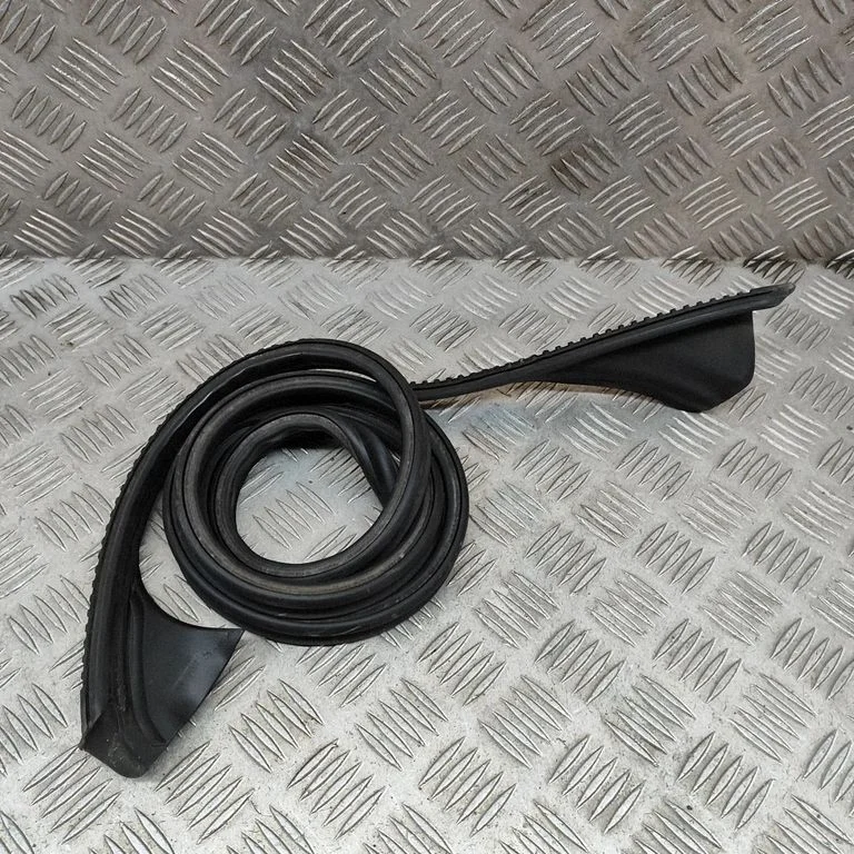 Other body part A1176730421