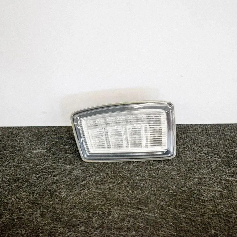 Kita kėbulo dalis