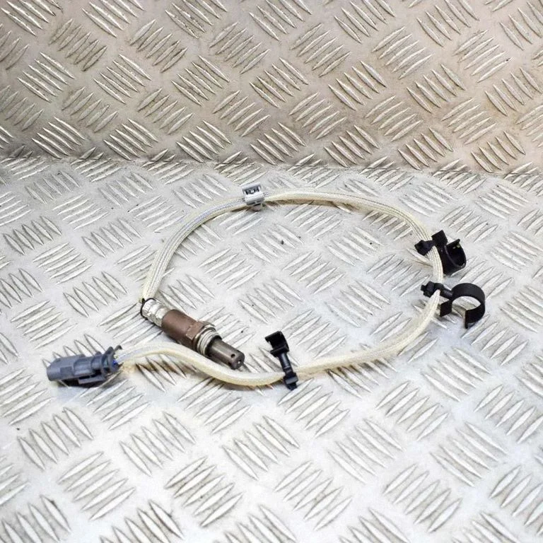 Lambda zonde
