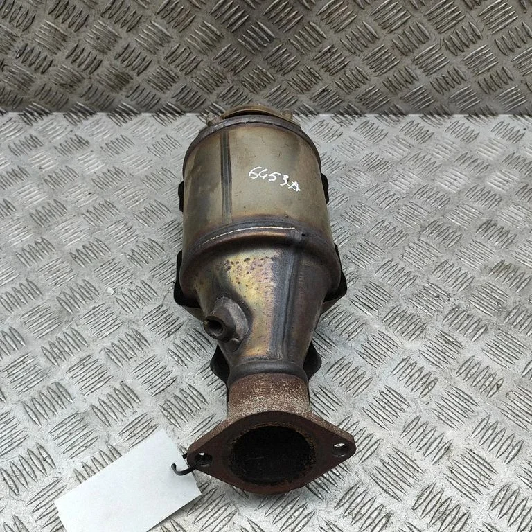 Catalyst/FAP/DPF particulate filter 289G008AA0