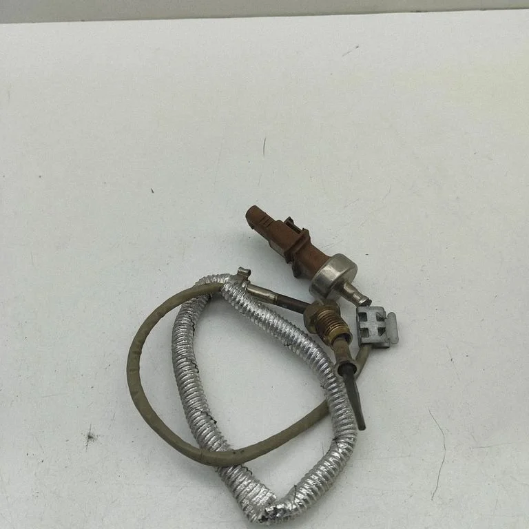 Izplūdes gāzu temperatūras devējs 8W0919529J
