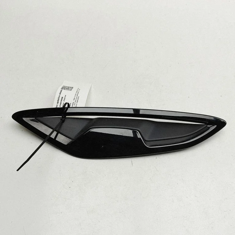 Fender trim (molding) 7419019