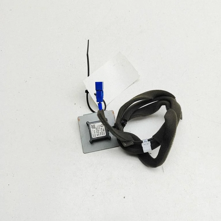 Antena (GPS antena) 259755SN0A