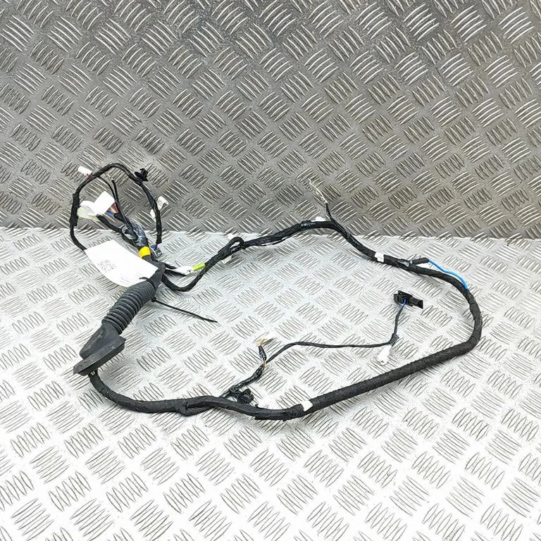 Tailgate/trunk wiring harness 198981900B