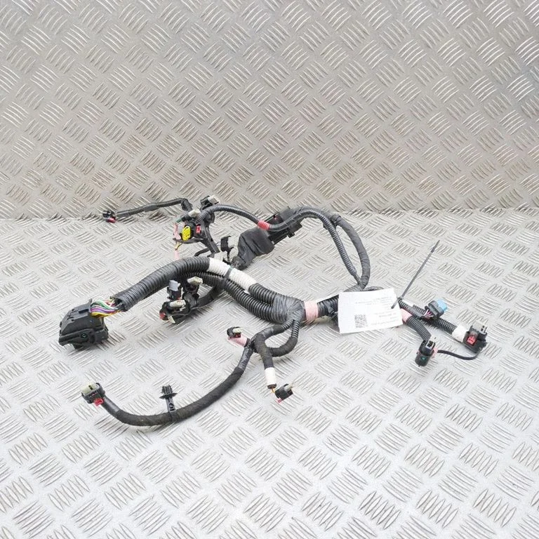 Other wiring loom 206876700C