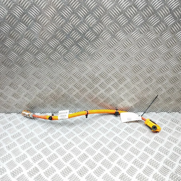 Other wiring loom