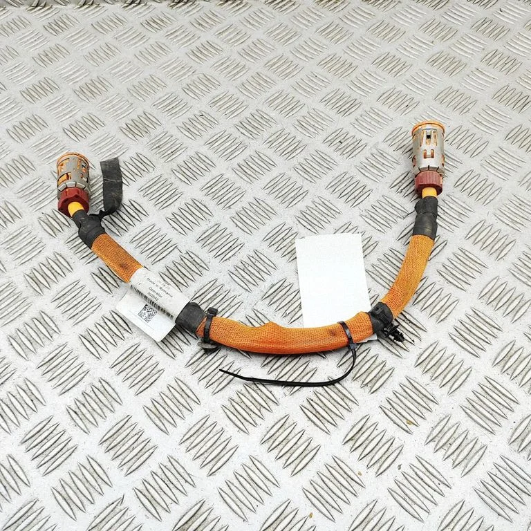 Other wiring loom A2945408005
