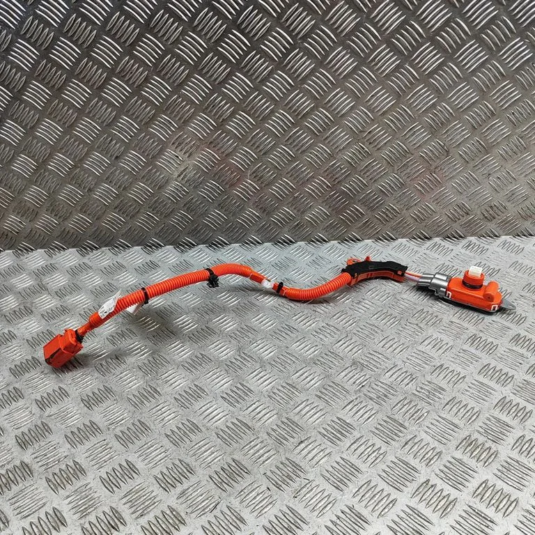 Other wiring loom 821H216020