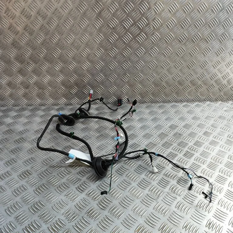 Other wiring loom 100442600R