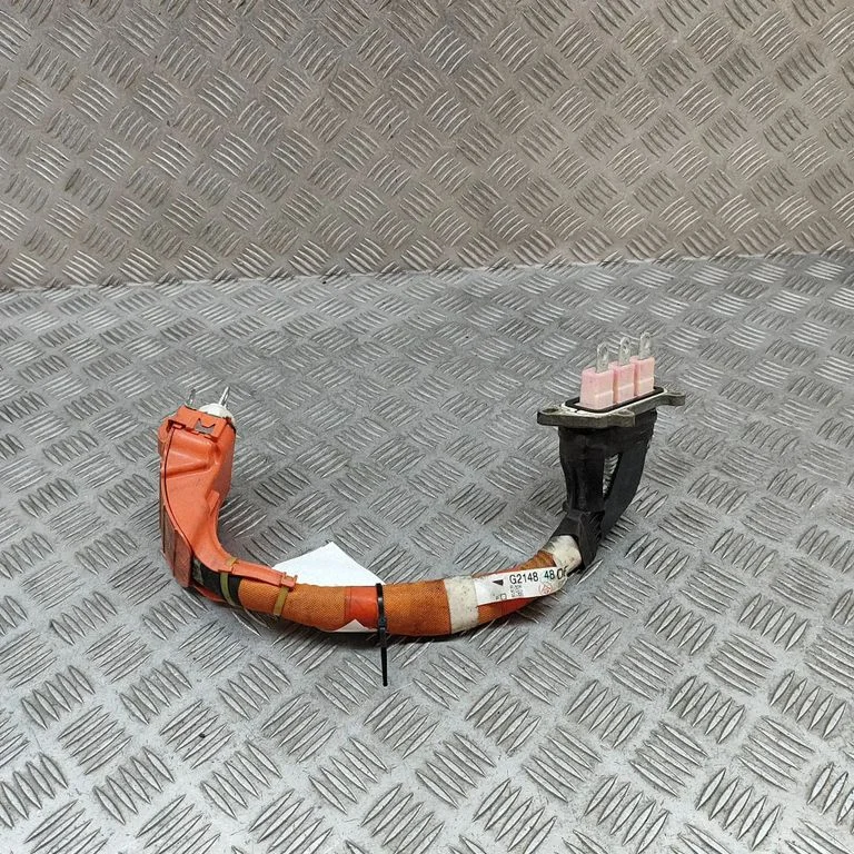 Other wiring loom G214848061