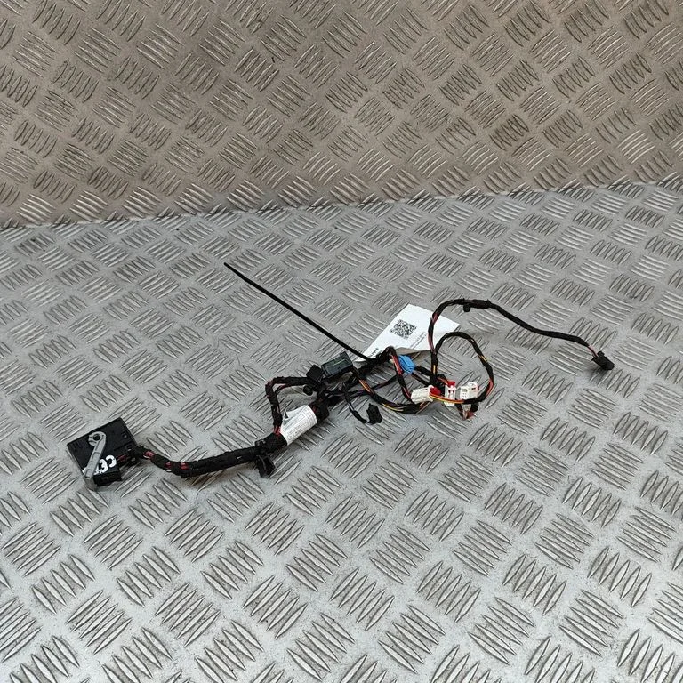 Other wiring loom A1675400232