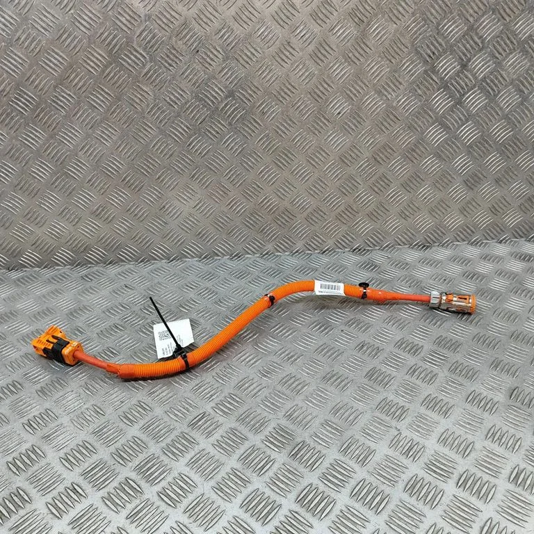 Other wiring loom