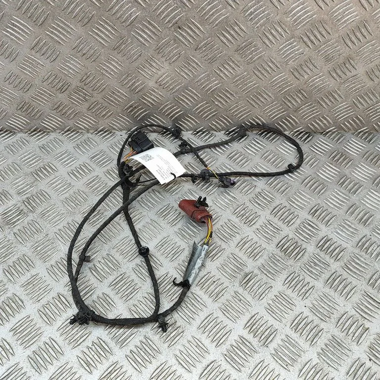 Other wiring loom