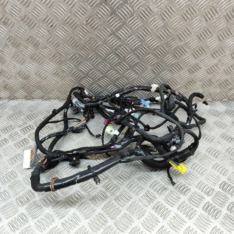 Muud juhtmed / juhtmestik 311769000B