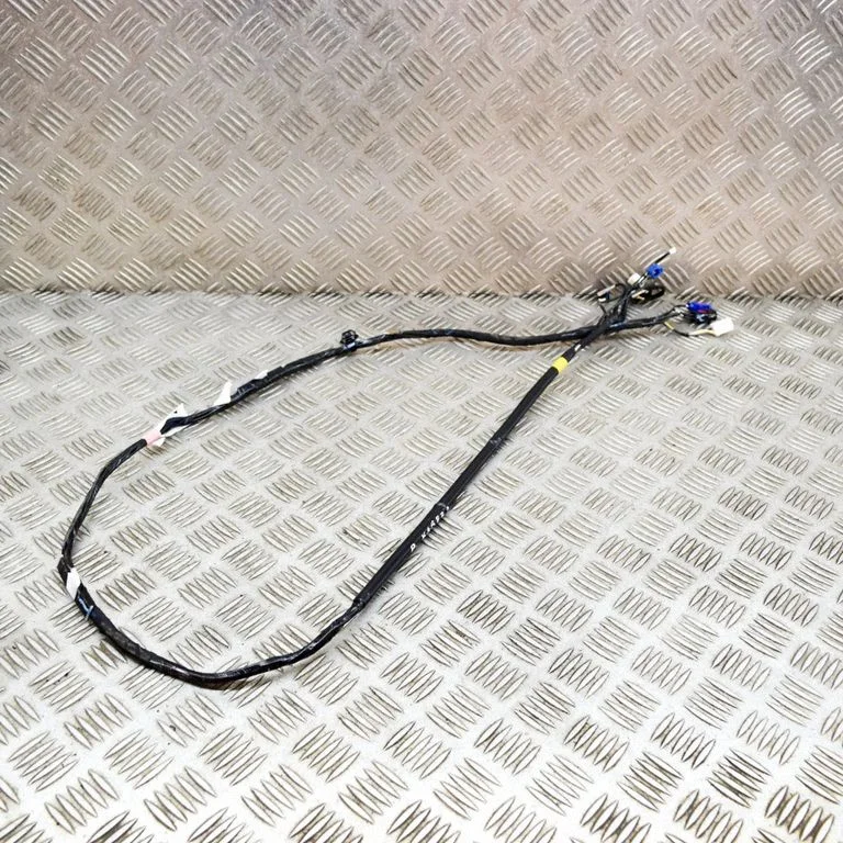 Other wiring loom 106878700E