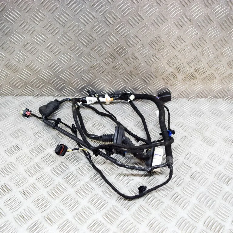 Other wiring loom 148905400E
