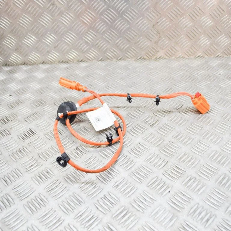Other wiring loom 1EA971475B