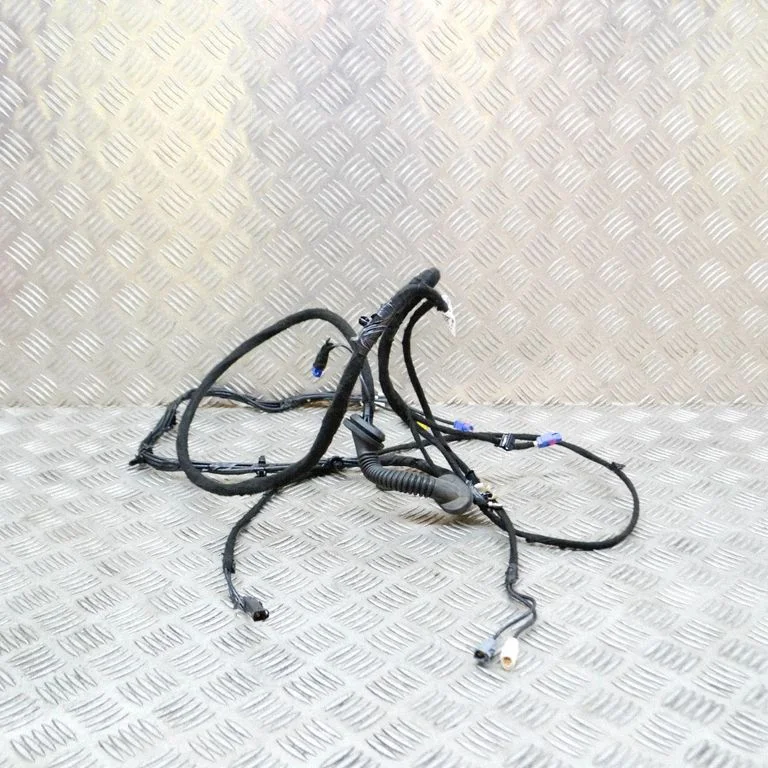 Other wiring loom 100442900P