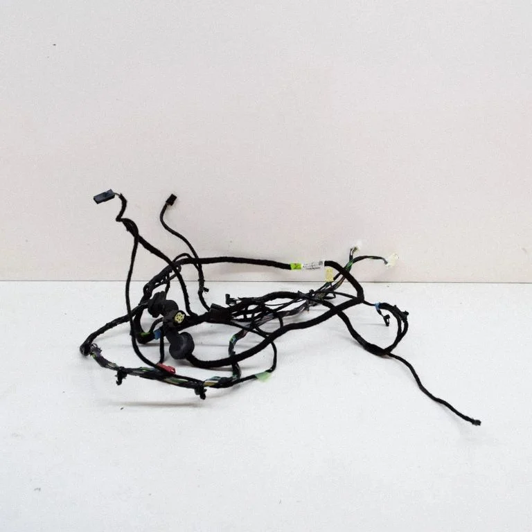 Other wiring loom 100442801P