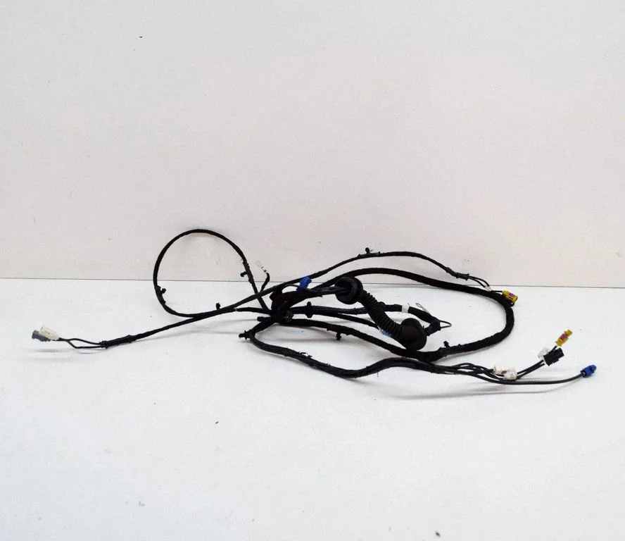 Other wiring loom 100442990P