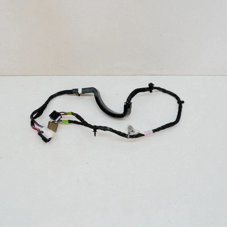 Other wiring loom P106340600G
