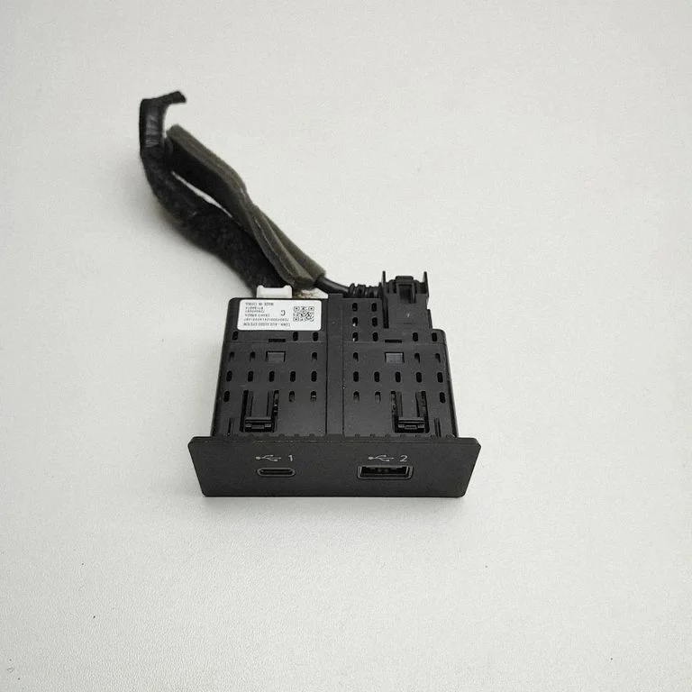 USB ligzda – Nissan Ariya (2021-)