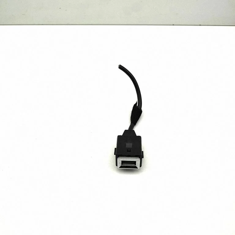 USB jungtis