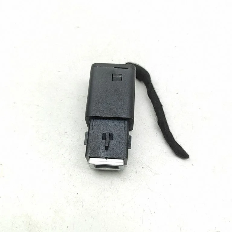 USB jungtis