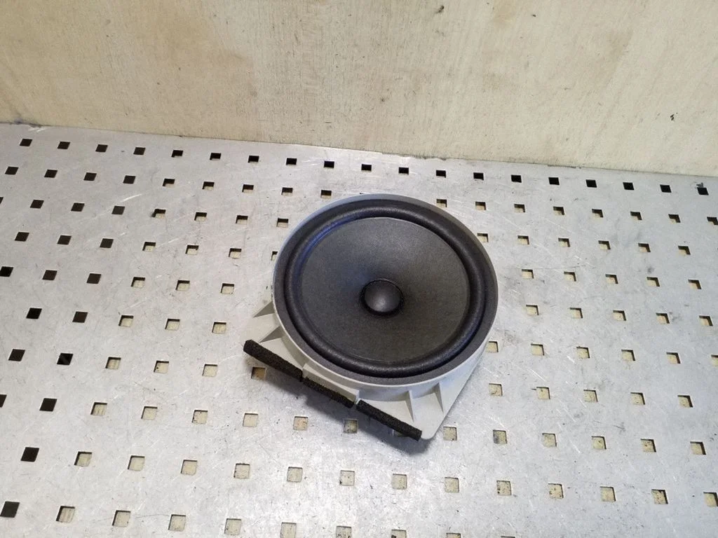 Front door speaker EAS16P647E5