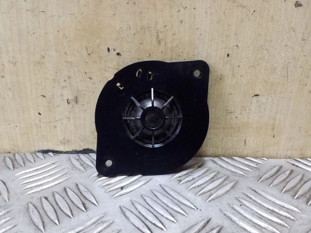 Panel speaker 8R0035399
