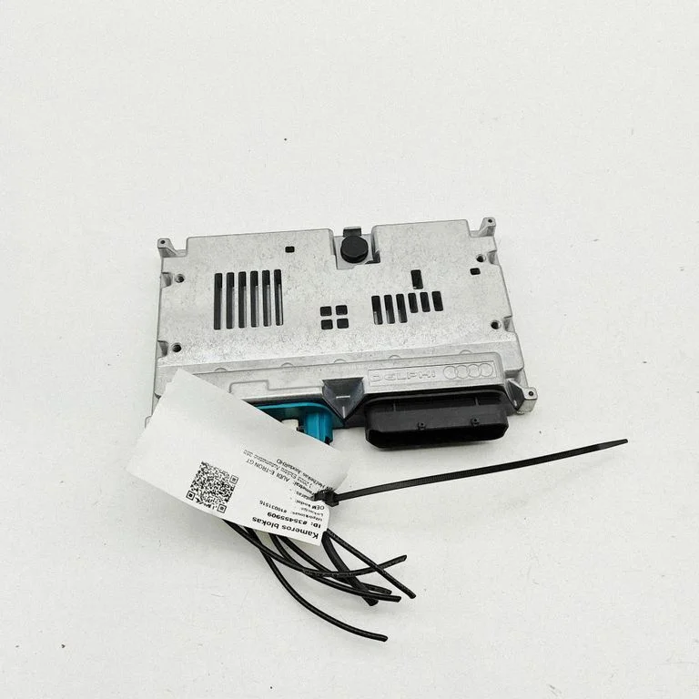 Video control module – Audi E-tron GT (2021-)