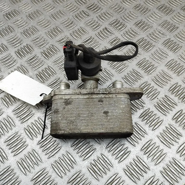 Hibrido/ elektromobilio akumuliatorius aušintuvas (ventiliatorius)