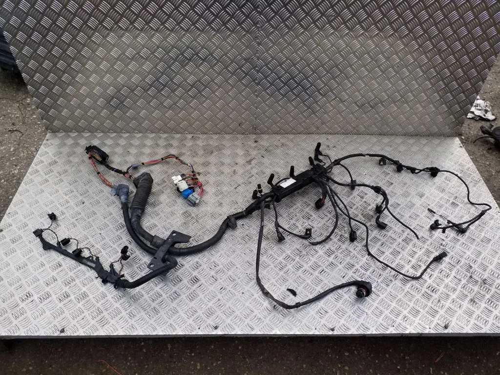 Engine installation wiring loom 7790771